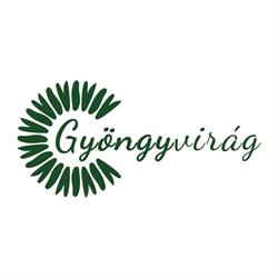 Florăria Gyöngyvirág Virágüzlet, Odorheiu Secuiesc program de funcționare