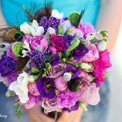 Edma Floral, Râşnov program de funcționare