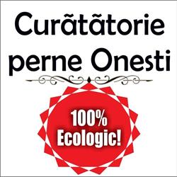 Curatatorie de perne Onesti, program de funcționare