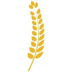 Agris, Şcheia program de funcționare
