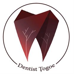Dentist Ţogoe, Timişoara program de funcționare