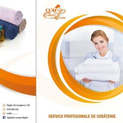 CCH Carpet Wash, Reghin program de funcționare