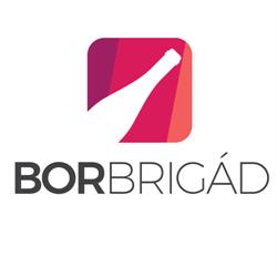 Borbrigád, Sfântu Gheorghe program de funcționare