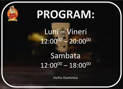 Puiul Aiurit, Lugoj program de funcționare
