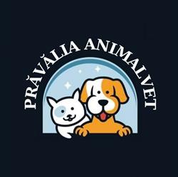 Cabinet Veterinar Prăvălia AnimalVET, Pecica program de funcționare