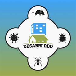 Desabri, Timişoara program de funcționare