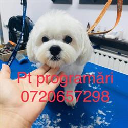 Salon Clabucel Petrosani, program de funcționare