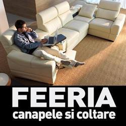 Gruppo Feeria, Comarnic program de funcționare