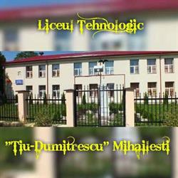 Liceul Tehnologic Tiu Dumitrescu, Bucureşti program de funcționare