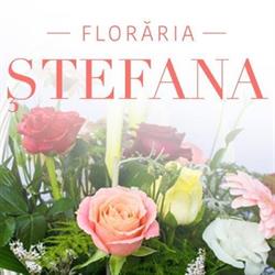 Florăria Ştefana, Nădlac program de funcționare