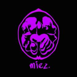 MIEZ - Spaţiu de impresie, Craiova program de funcționare