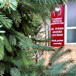 Cabinet Neurologie Botosani Dr. Ivanov Hanora-Cristiana - SERVICII TELEMEDICINĂ, program de funcționare