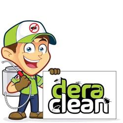 DeraClean, Deva program de funcționare