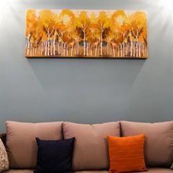 Urseni Apartments, Timişoara program de funcționare