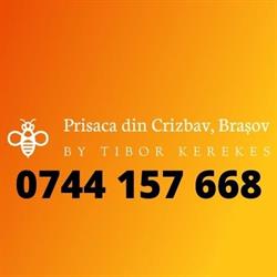 Prisaca din Crizbav, Braşov, program de funcționare