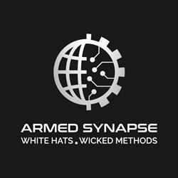 Armed Synapse, Timişoara program de funcționare