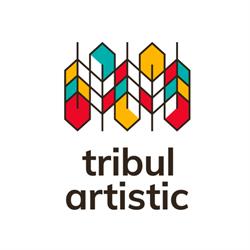 tribul artistic, Timişoara program de funcționare