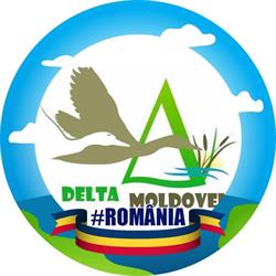 Complex Delta Moldovei, Movileni program de funcționare