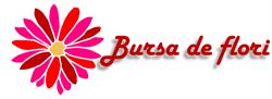 Bursa de flori, Bucureşti program de funcționare