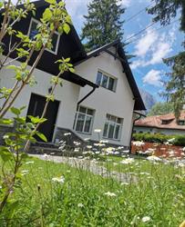 Vila Panduri 23, Buşteni program de funcționare