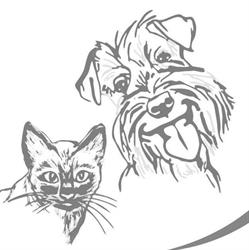 Cabinet Veterinar CameliaVet Cluj-Napoca, program de funcționare