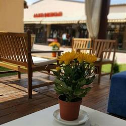 Cafe Veranda, Craiova program de funcționare
