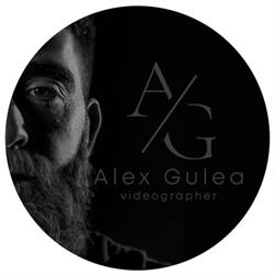 Alex Gulea, Sighişoara program de funcționare