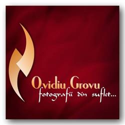 Ovidiu Grovu, Bistriţa program de funcționare