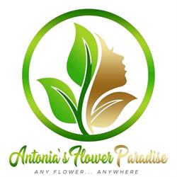 Antonia's Flower Paradise, Giurgiu program de funcționare