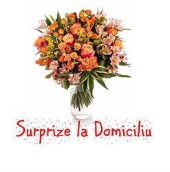 Surprize la Domiciliu Bucuresti, program de funcționare