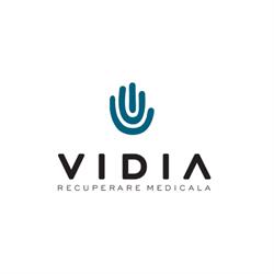 Vidia Kineto, Haţeg program de funcționare