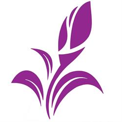 DeNovo Clinic, Timişoara program de funcționare