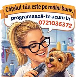 Little Puppy Style, Râşnov program de funcționare