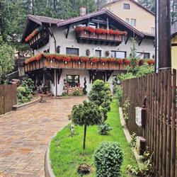 Amor Tirol, Buşteni program de funcționare
