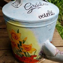 Grădina Veselă, Botoşani program de funcționare