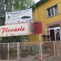 Florăria D-Dea, Timişoara program de funcționare