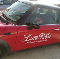 Little Roses, Timişoara program de funcționare