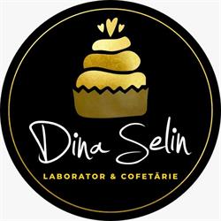 Dina Selin, Dej program de funcționare