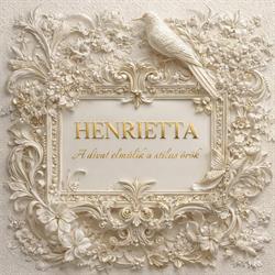 Henrietta, Sfântu Gheorghe program de funcționare