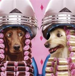 Melek - Pet Salon, Pet Hotel, Pet Shop, Târgovişte program de funcționare