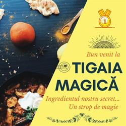 Tigaia Magica, Baia Mare program de funcționare