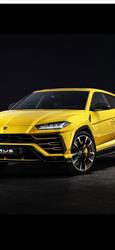 Autolux Import Belgium s.r.l, Prejmer program de funcționare