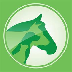 Cabinet Veterinar MAG VET, Alba Iulia program de funcționare