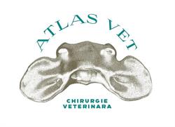 Atlas VET, Bucureşti program de funcționare