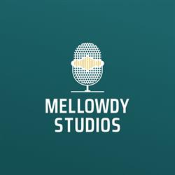 Mellowdy Studios, Cisnădie program de funcționare