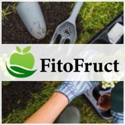 Fito Fruct, Aiud program de funcționare