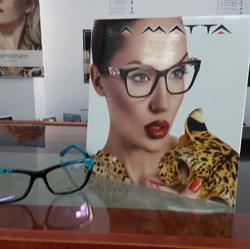 Optica Caransebeş - Doptik 2002, program de funcționare