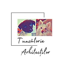 Tunzatorie Arhitectilor, Cisnădie program de funcționare