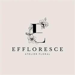 Effloresce, Ploieşti program de funcționare