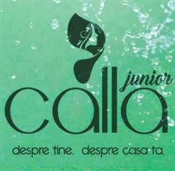 Calla Junior Elita, Arad program de funcționare